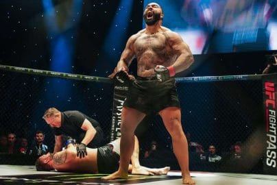 Гейбл Стивсон