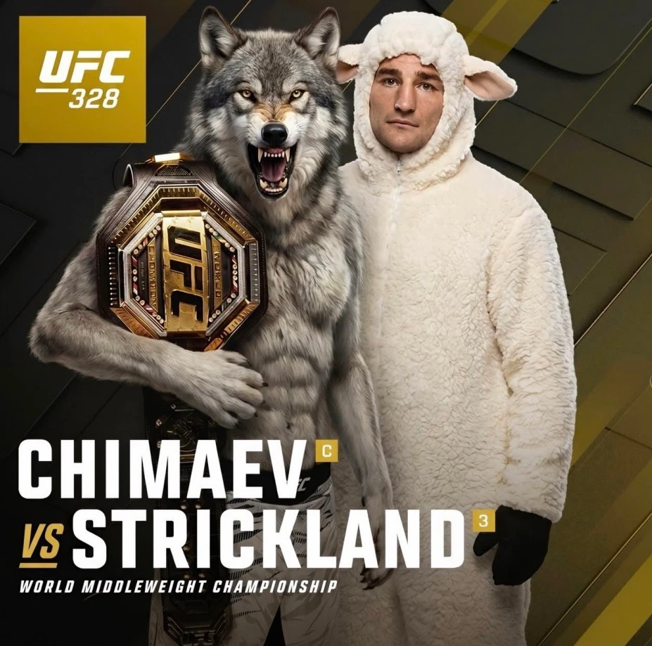 Хамзат Чимаев X post