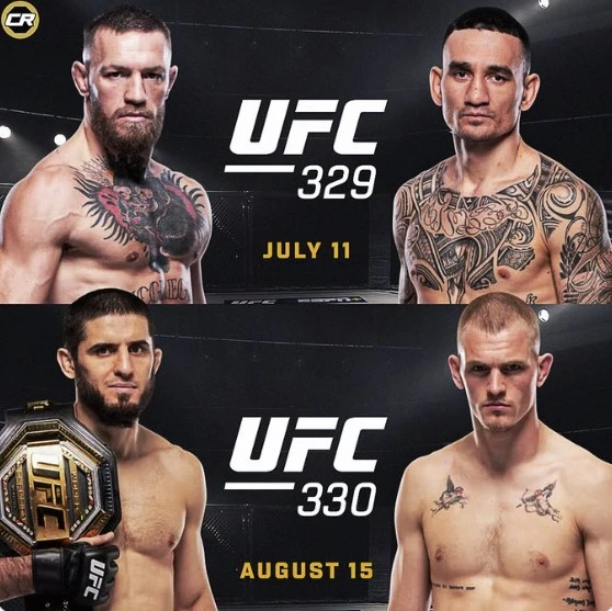 UFC 330